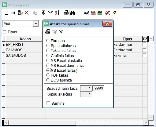 Spausdinimo formato langas su pažymėtu „MS Excel failas“ ir spausdinimo ženkliuku kodų sąrašo lango viršuje