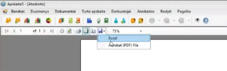 Ataskaitos lango išsaugojimo meniu su pasirinkimais „Excel“ ir „Acrobat (PDF) file“