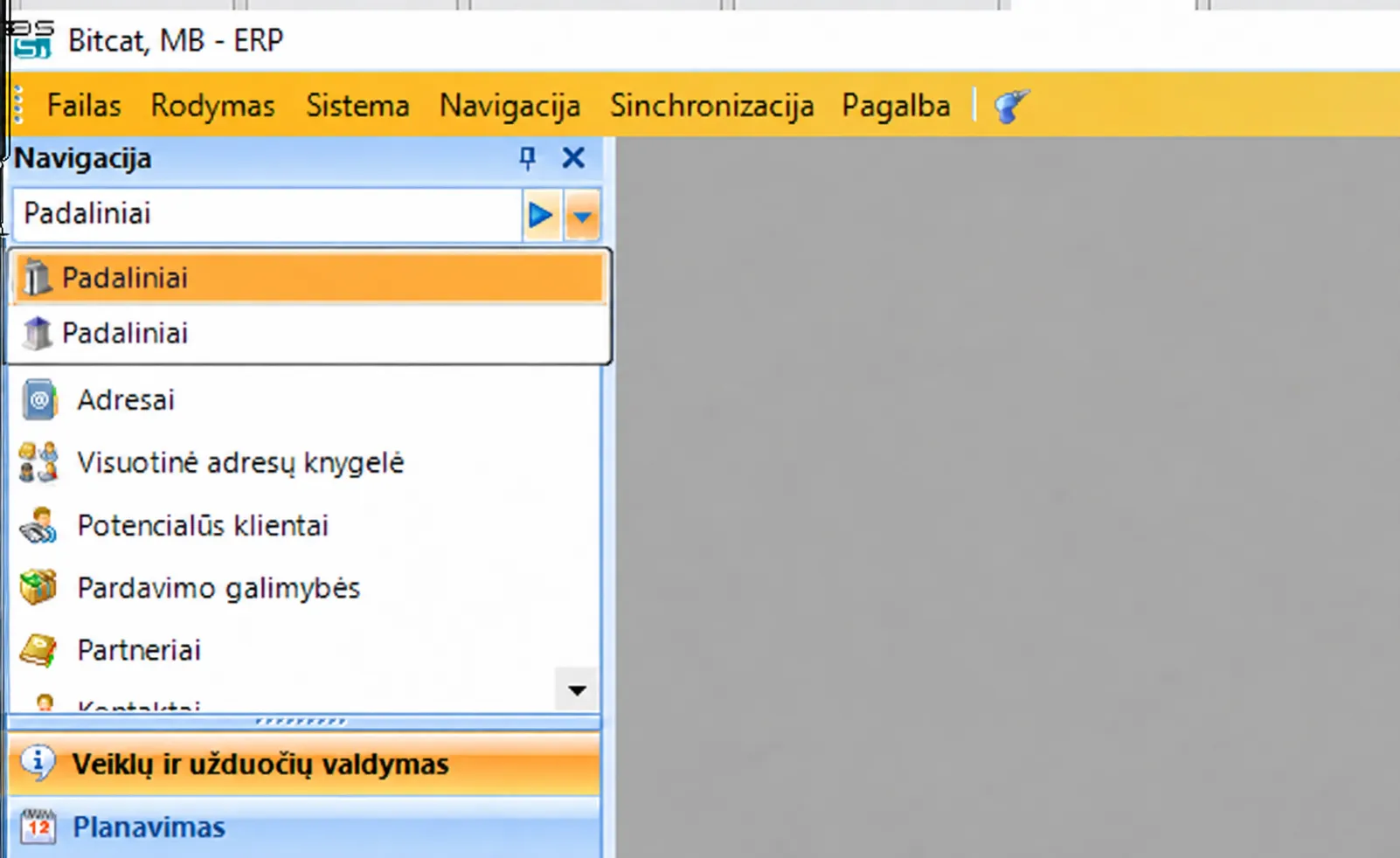 Navigacijos pasiūlymų sąrašas su pažymėtu punktu „Padaliniai“ jo viršuje