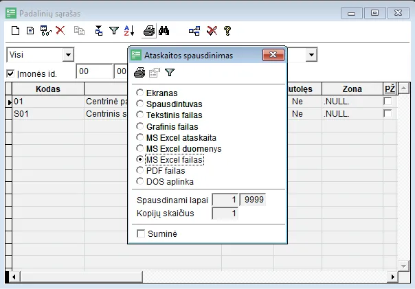 Padalinių sąrašo langas su atvertu išvesties formato langu ir pažymėtu „MS Excel failas“