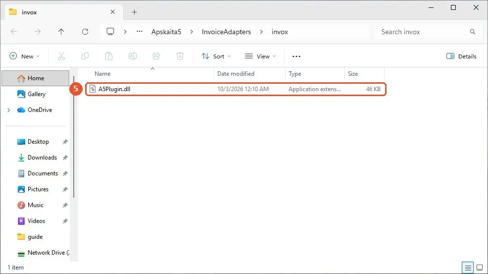 Aplanko „invox“ turinys: pažymėtas vienintelis failas „A5Plugin.dll“.